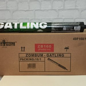 1 carton ZB160 (16 candles x 380 shots)